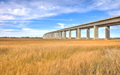 Moving to Daniel Island, South Carolina: Helpful Local Resources For Lowcountry Homeowners