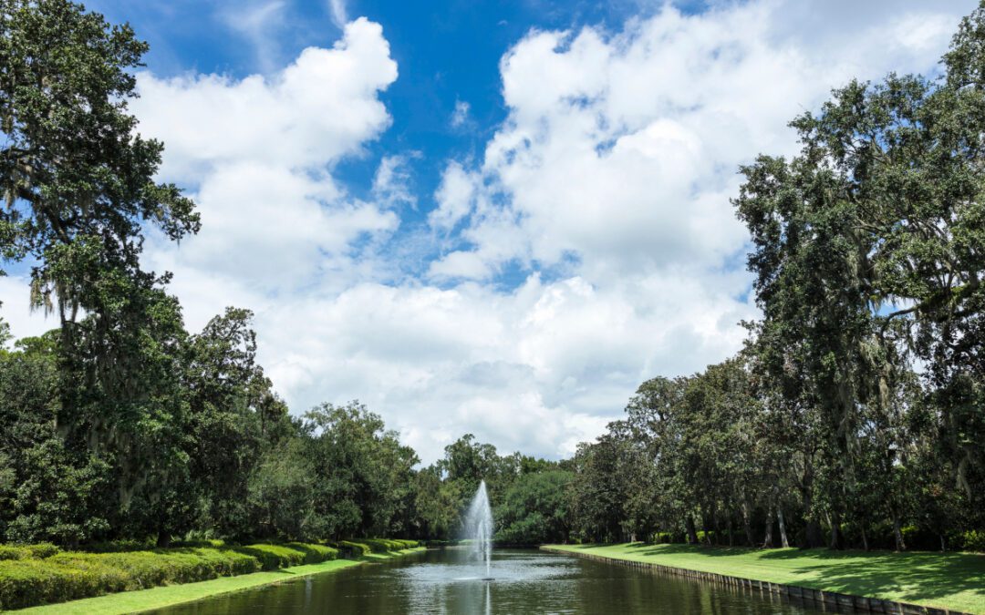 Moving to West Ashley, South Carolina: Helpful Local Resources for Lowcountry Homeowners